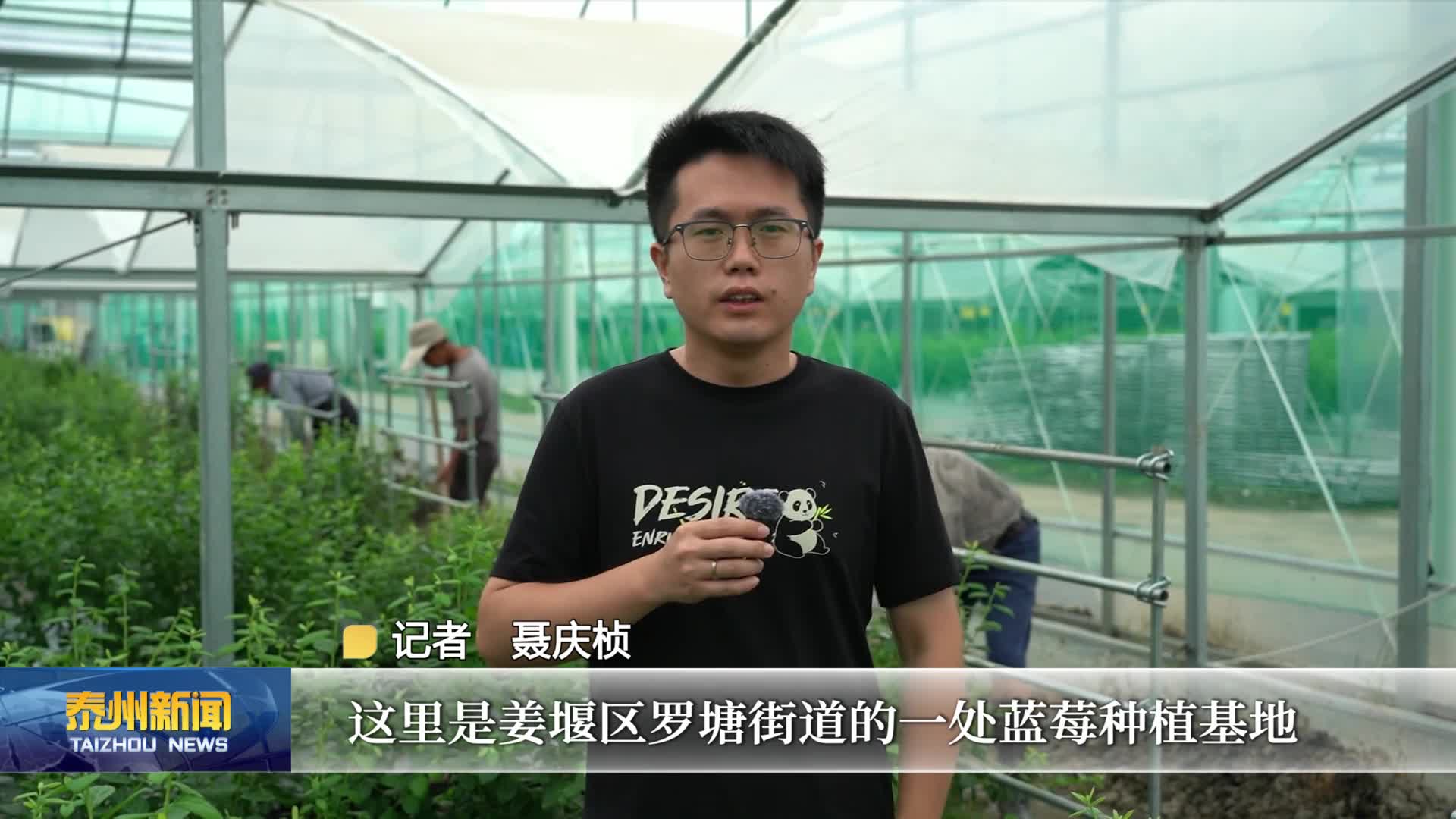 台风“桦加沙”来袭  泰州：启动IV级应急响应  各地各部门协同应对